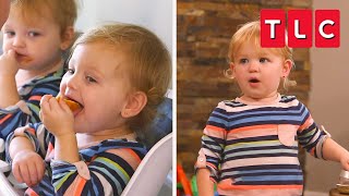 Quint Chaos Top Moments  OutDaughtered  TLC [upl. by Ylaek]