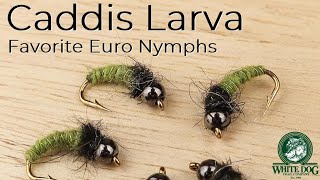 Caddis Larva Euro Nymph  Favorite Euro Nymphs  Fly Tying [upl. by Rehposirhc210]