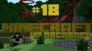 Minecraft na obcasach  Sezon II 18  Ekscytacja kwiatkami i grzybkami [upl. by Nwahsak308]