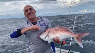 💥BIG RED SNAPPERS MID NORTH COAST💥 [upl. by Nnylorac663]