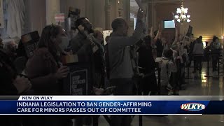 Indiana legislation to ban gender affirming care for minors passes out of committee [upl. by Anjali]