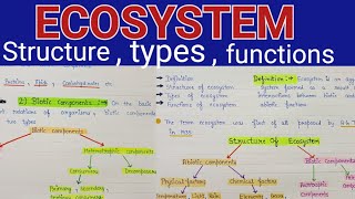 Ecosystem structure and functions  Ecosystem structure  ecosystem structure and functions notes [upl. by Pratte]