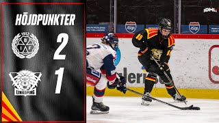 Höjdpunkter  Kvartsfinal 3  SDHL  Brynäs  Linköping [upl. by Pouncey]