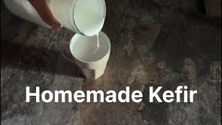 The BEST Way to Make Homemade Kefir in Just 24 Hours [upl. by Hillhouse]