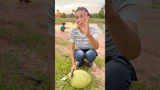 Survival Skills Simple but Useful with Coconut survival camping useful outdoors shorts fish [upl. by Adelaida832]