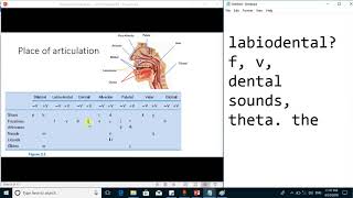 Articulatory phoneticsConsonants by Place of Articulation  linguistics [upl. by Edwin]