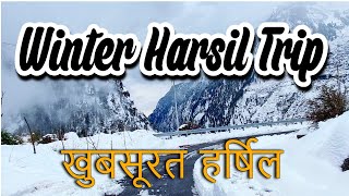 Beautiful Harsil valley and Journey of Ganga  Complete Guide to Reach Harsil [upl. by Enilamme162]