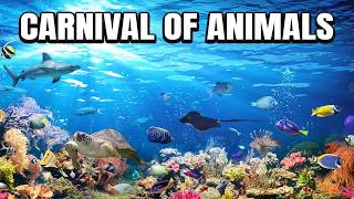 The Carnival of the Animals Aquarium amp Fossiles [upl. by Kciredohr]