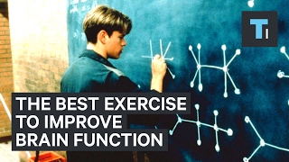 Neuroscientist explains the best exercise to improve brain function [upl. by Ahseinar]