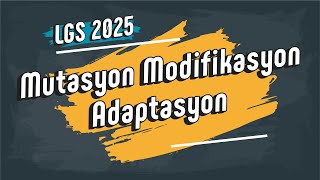 Mutasyon Modifikasyon Adaptasyon  8 Sınıf LGS2025 [upl. by Sill]