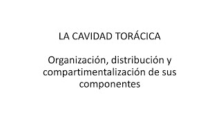 cavidad toracica en mamíferos Organización y divisiones [upl. by Norahc]