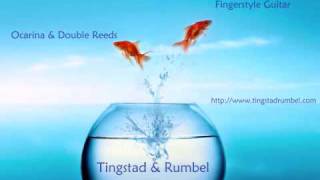 Tingstad amp Rumbel perform quotMedicine Treequot [upl. by Llemert]