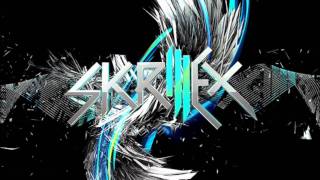 Skrillex Levels Remix Studio Quality HD [upl. by Blayze667]