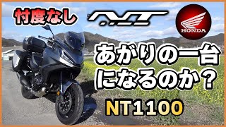 あがりのバイクに選ぶ！Honda NT1100徹底レビュー NT1100 dct review [upl. by Niac]