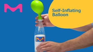 SelfInflating Balloon at Home STEM Experiment [upl. by Zeb618]