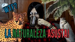 La Naturaleza ASUSTA ft John Lennon [upl. by Alram]