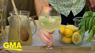 How to make ‘Not Your Mom’s White Wine Spritzer’ l GMA [upl. by Laertnom]