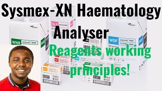 SysmexXN Haematology Analyser Reagents Working Principles II Dr Emmanuel Ogbodo II GoodBMSJobs [upl. by Donoghue529]