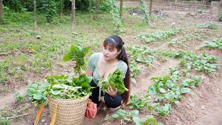 Harvest Malabar Spinach Water Spinach On My Farm Bring The Vegetables To The Market To Sell [upl. by Reivad]