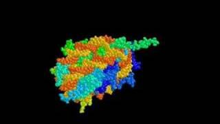 nucleosome [upl. by Ravid]