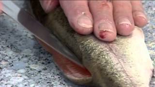 How to CanoeFillet a Trout  111 [upl. by Ahsem]