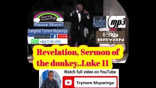 Evangelist Trymore Muparinga  Revelation sermon of the Donkey [upl. by Llabmik]