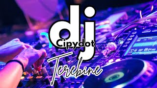 DJ Terebine  terbaru 2024 l cipydot subscribe [upl. by Lynnette]