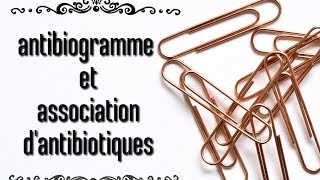 antibiogramme et association dantibiotiques [upl. by Hnahk]