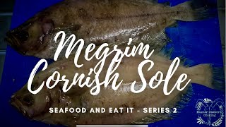 Megrim  Cornish Sole Ep6  How to Prepare  Seafood amp Eat It Series 2  Bristol Fish HGC [upl. by Perretta332]