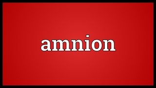 Amnion Meaning [upl. by Ahsinod449]