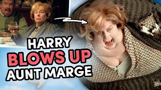 Harry Potter Gets Revenge On Aunt Marge  Prisoner of Azkaban [upl. by Sokem524]