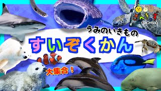 水族館へ行こう！サメ シャチ イルカ ジンベイザメ 海の生き物 お魚さんたちが大集合！！Aquarium ニモも出てくるよ〜！気分はスキューバダイビング♪ [upl. by Ahtelra]