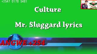 CULTURE Mr Sluggard lyrical video by DjShangwe [upl. by Eednus]