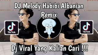 DJ MELODY HABIBI ARABIAN REMIX  DJ MELODY KANE FEXD RMX VIRAL TIK TOK TERBARU 2024 [upl. by Hilliard341]