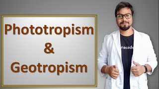 Phototropism and geotropism in hindi [upl. by Andie]