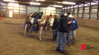 Treat Yourself to Wellness introduces Walk On Therapeutic Riding Programs [upl. by Rein]