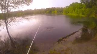 Indian Lake State Forest Fishing OcalaFL [upl. by Ricca]