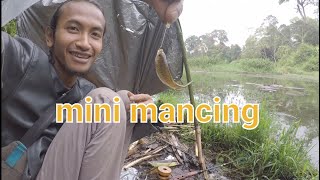 mancing ikan kecil di ranyeng kamojang micro fishing [upl. by Ibrahim]