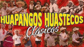 CLÁSICOS HUAPANGOS HUASTECOS [upl. by Asilet]