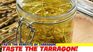 Taste the Benefits of Tarragon [upl. by Tayler]