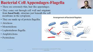 Bacterial Cell Appendages Flagella Pili Fimbrae [upl. by Lionel]