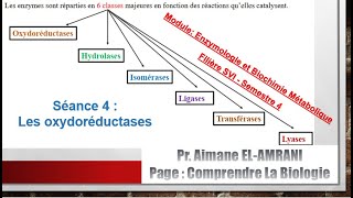 Séance 4vidéo 1  Classification des enzymes  Les oxydoréductases [upl. by Pish722]