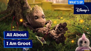 Marvel Studios I Am Groot  Whats Up Disney [upl. by Hestia371]