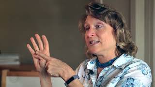 Dan Siegel Hand Brain explained by Mary Vicario LPCCS [upl. by Inava]