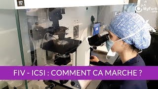 FIV ICSI en laboratoire PMA Comment ça marche [upl. by Irrehs]