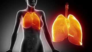 Pneumonia 3D Animation SD [upl. by Aes]