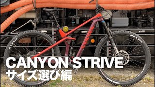 CANYON STRIVE  サイズ選び編 [upl. by Heaps]