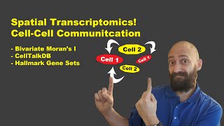 Spatial Transcriptomics  Part 7 LigandReceptor Spatial Autocorrelation [upl. by Chretien]