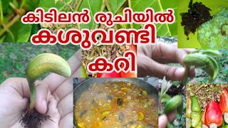 കശുവണ്ടി കറി  Cashew nut curry recipe  കിടിലൻ രുചിയിൽ കശുവണ്ടി കറി  Ragus world kasuvandi curry [upl. by Kessia]