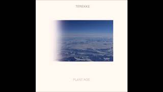 Terekke  Mix 91  Plant Age LP  LIES100  2017 [upl. by Ignatzia]